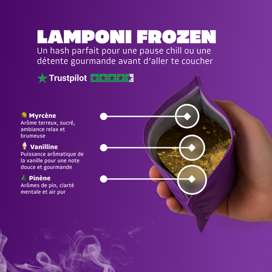 Lamponi Frozen