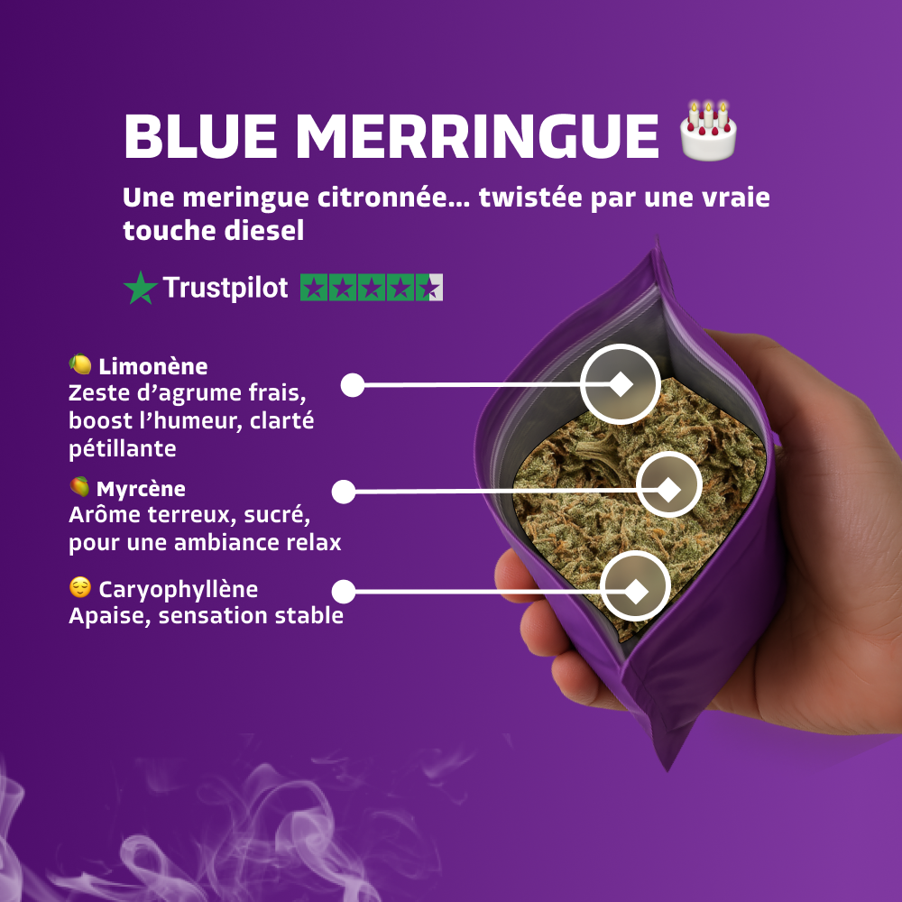 Blue Merringue
