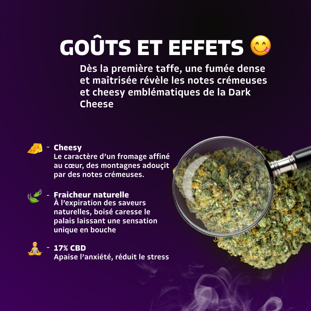 Dark Cheese