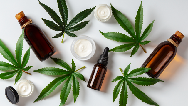 Effets du CBD : Bienfaits, Risques et Études Scientifiques (Guide Complet 2025)