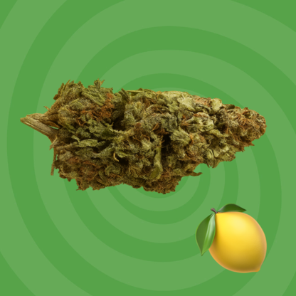 Lemon Buddha