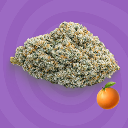 Orange Bitter