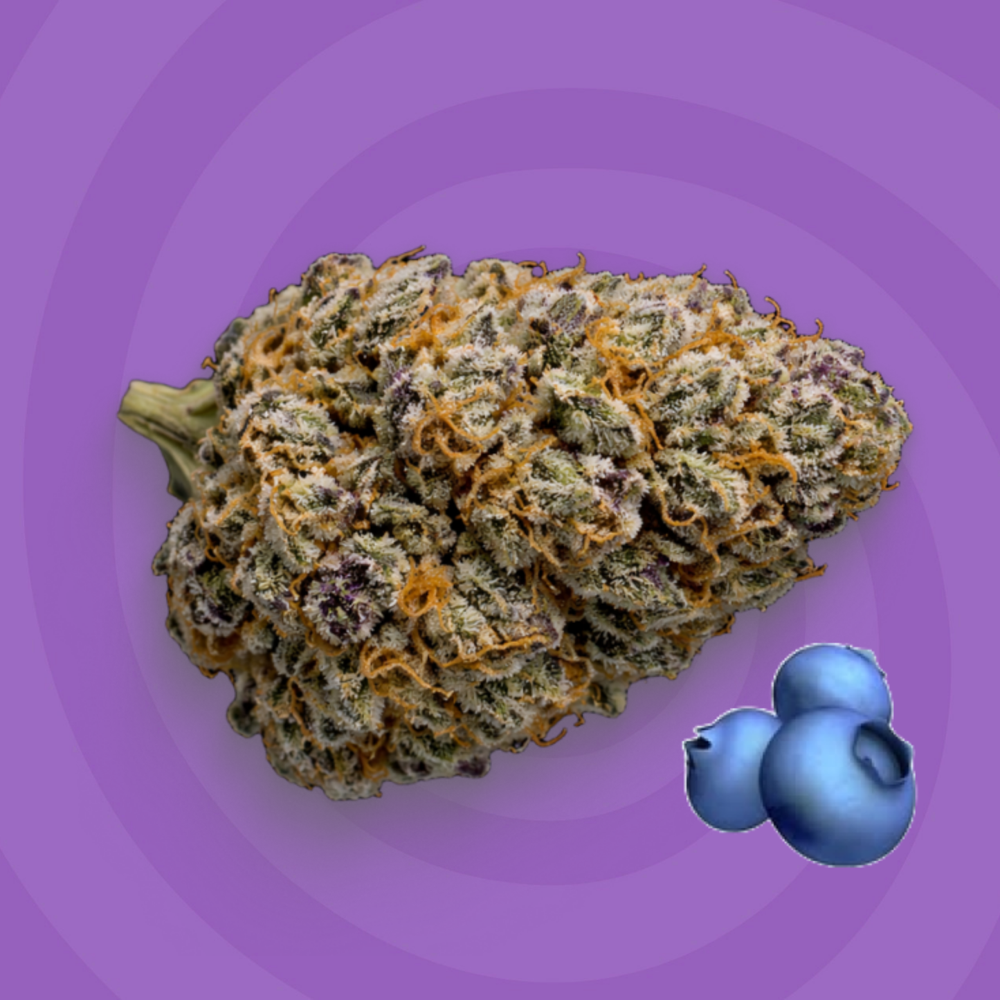 Royal Berry