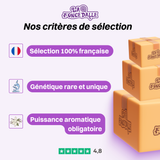 Pack Gustatif