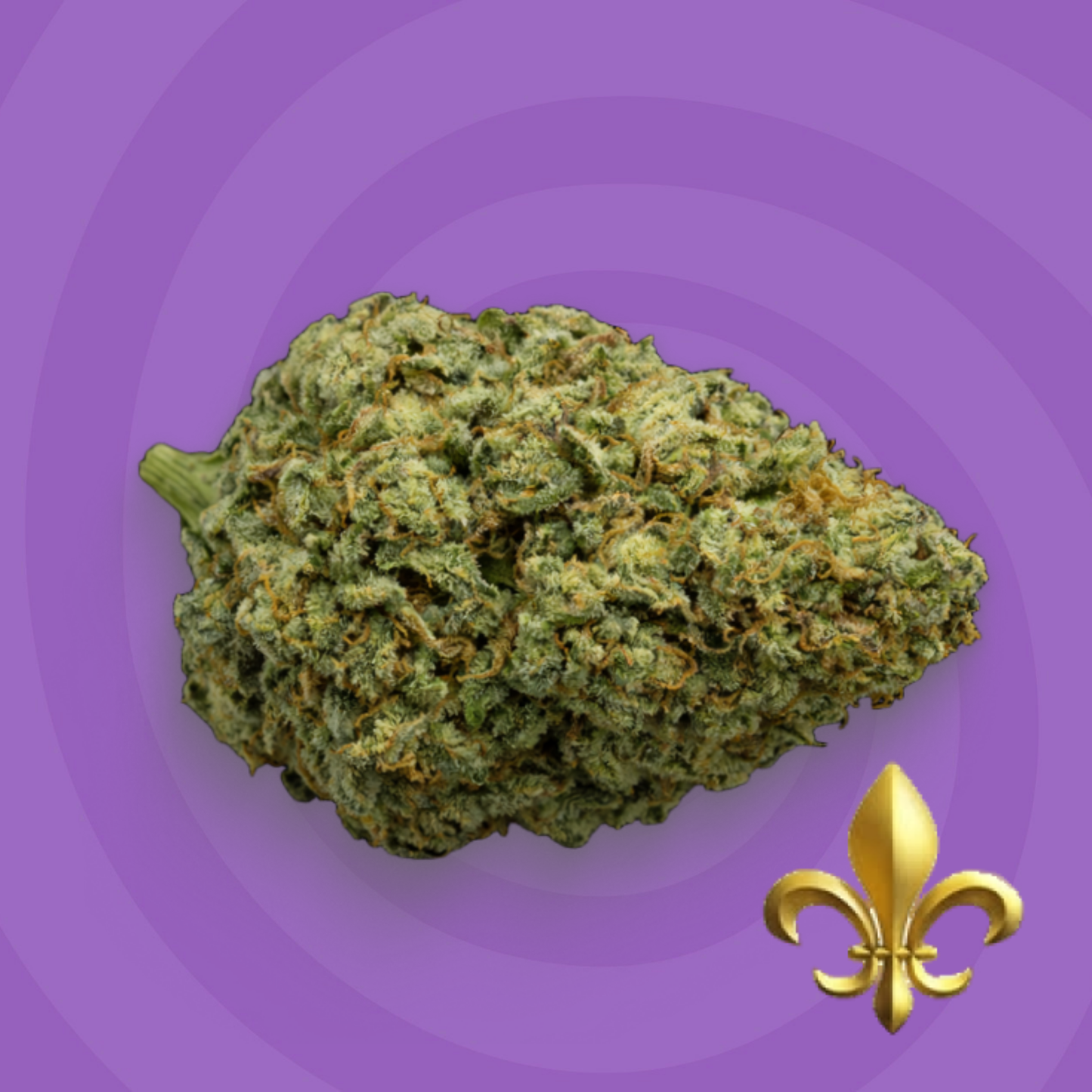 Golden Diesel