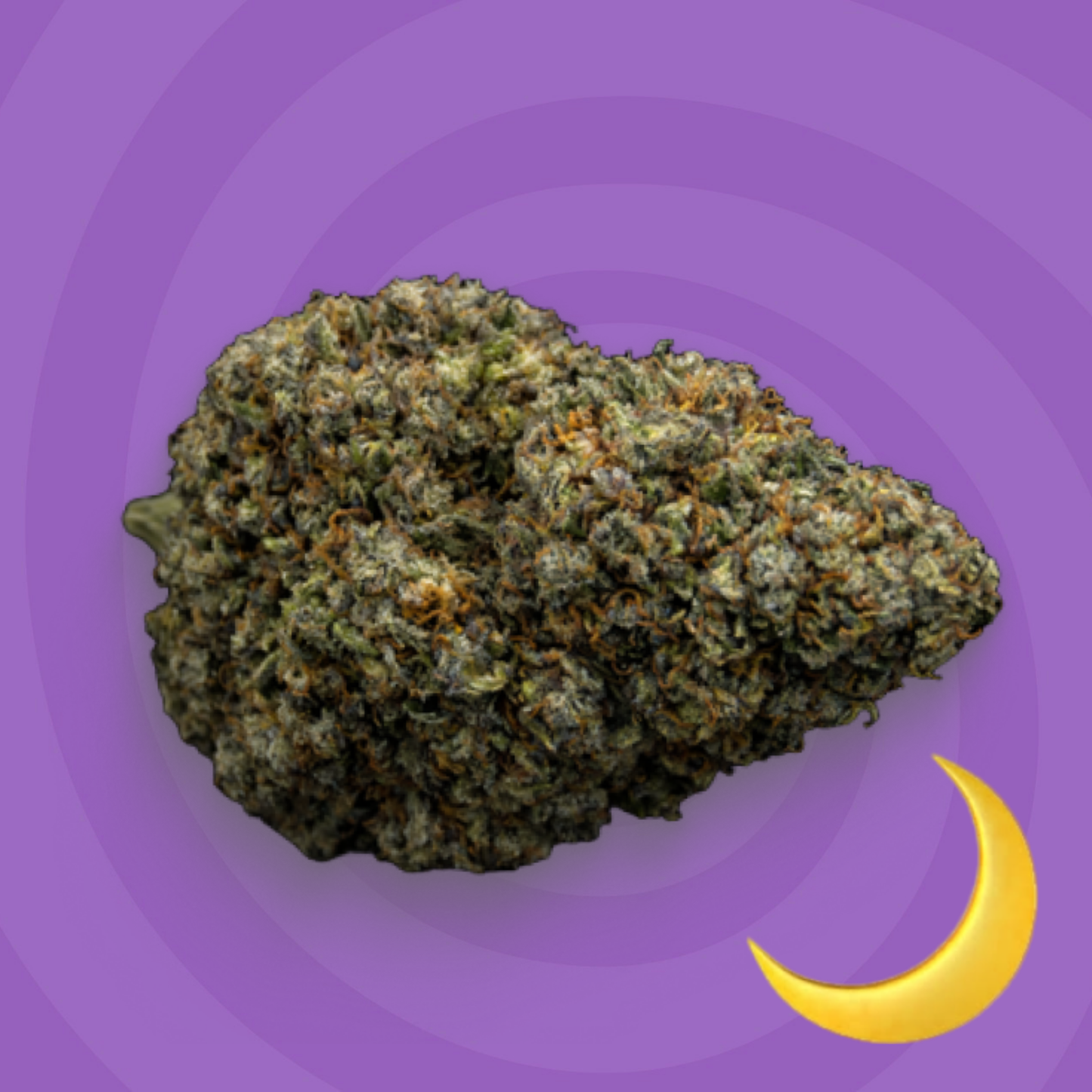 Dream Skunk
