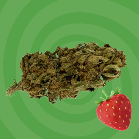 Fraise Sauvage