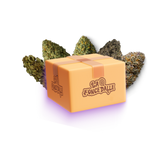 Pack Fleur - 5G