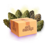 Pack Fleur - 10G