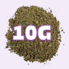 Trim Blueberry