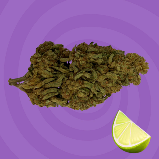 Lemon Mimosa
