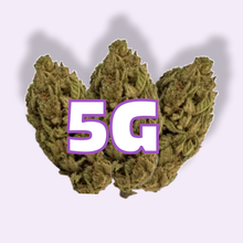5G Small Bud