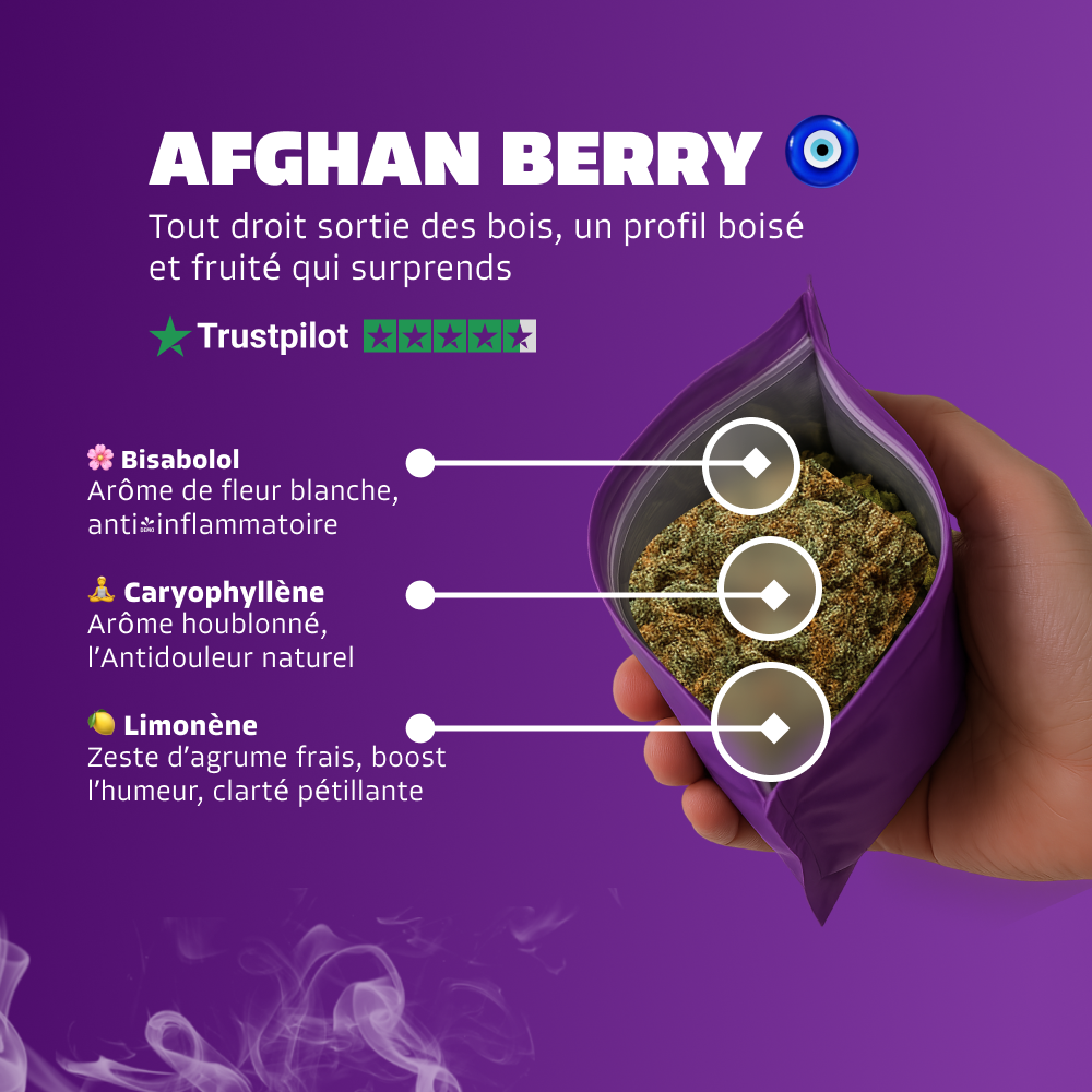 🧿 Afghan Berry