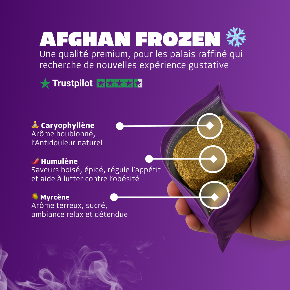 Afghan Frozen ❄️