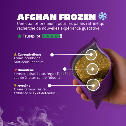 Afghan Frozen ❄️
