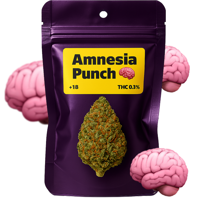 🧠 Amnesia Punch