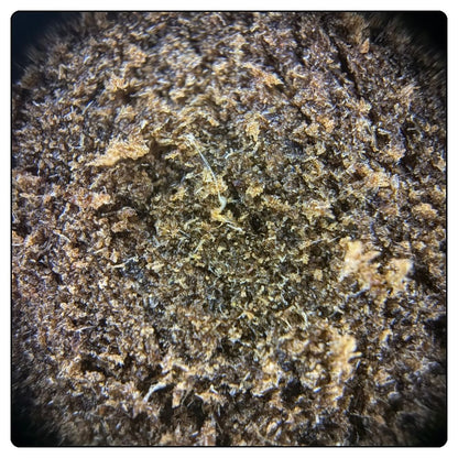 Budder V CBG