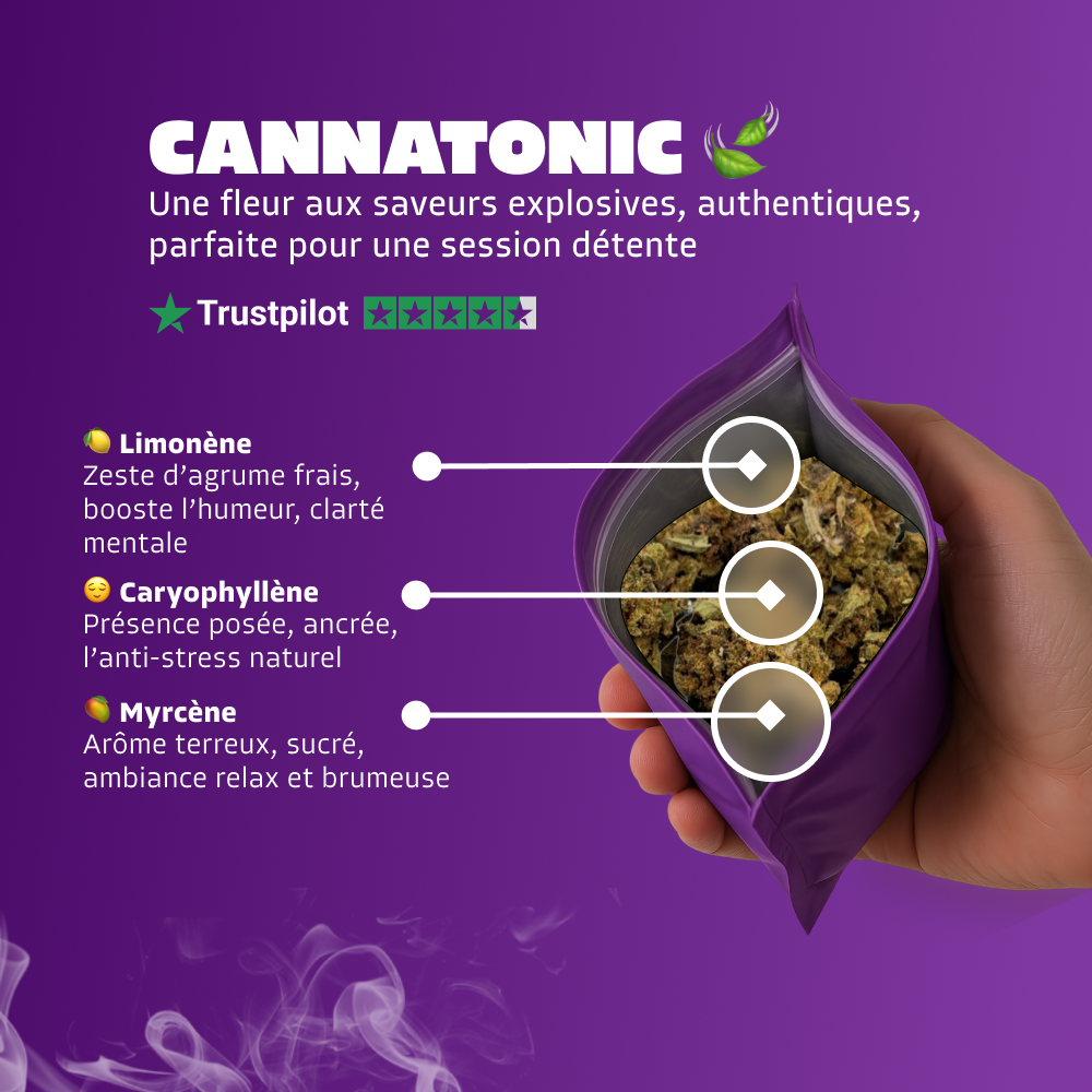 🍃 Cannatonic