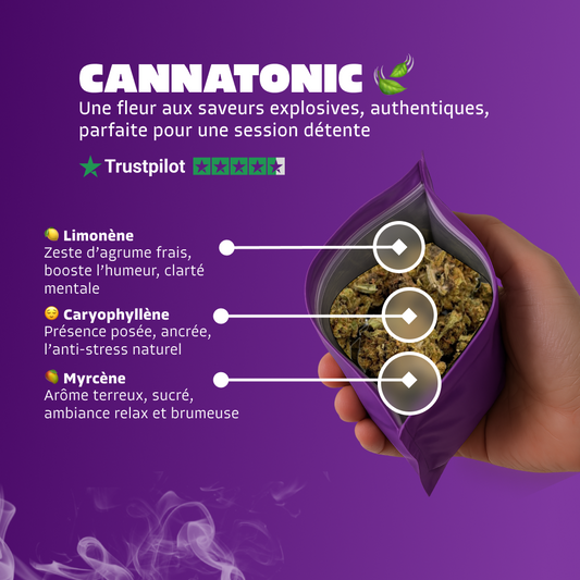 🍃 Cannatonic