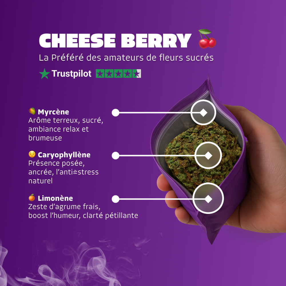 🍒 Cheese Berry