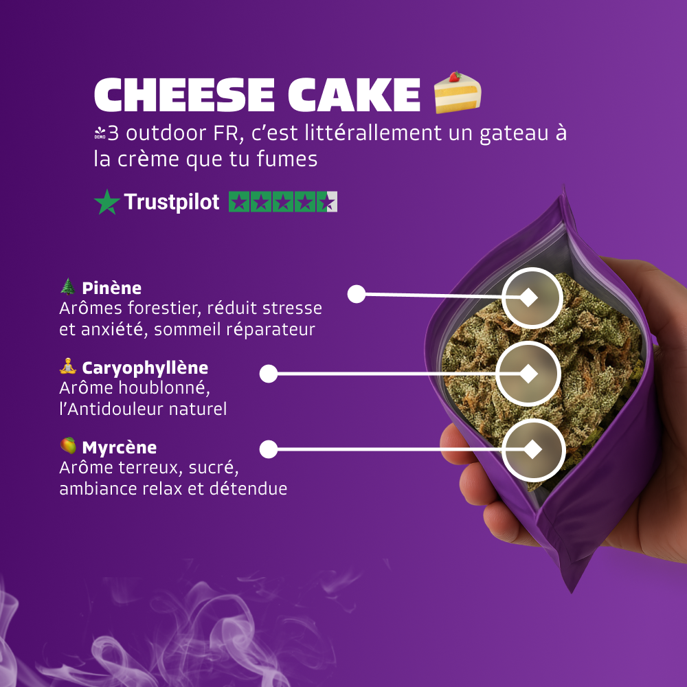 🍰 Cheese Cake
