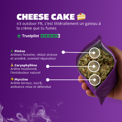 🍰 Cheese Cake