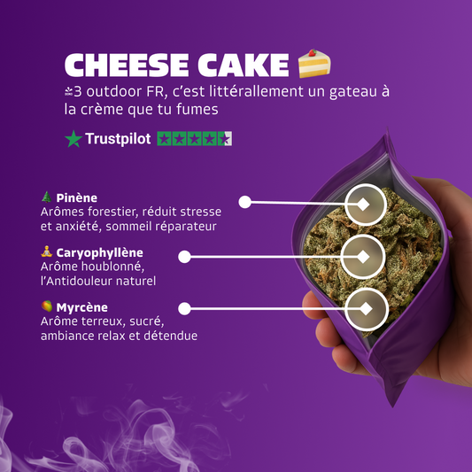 🍰 Cheese Cake