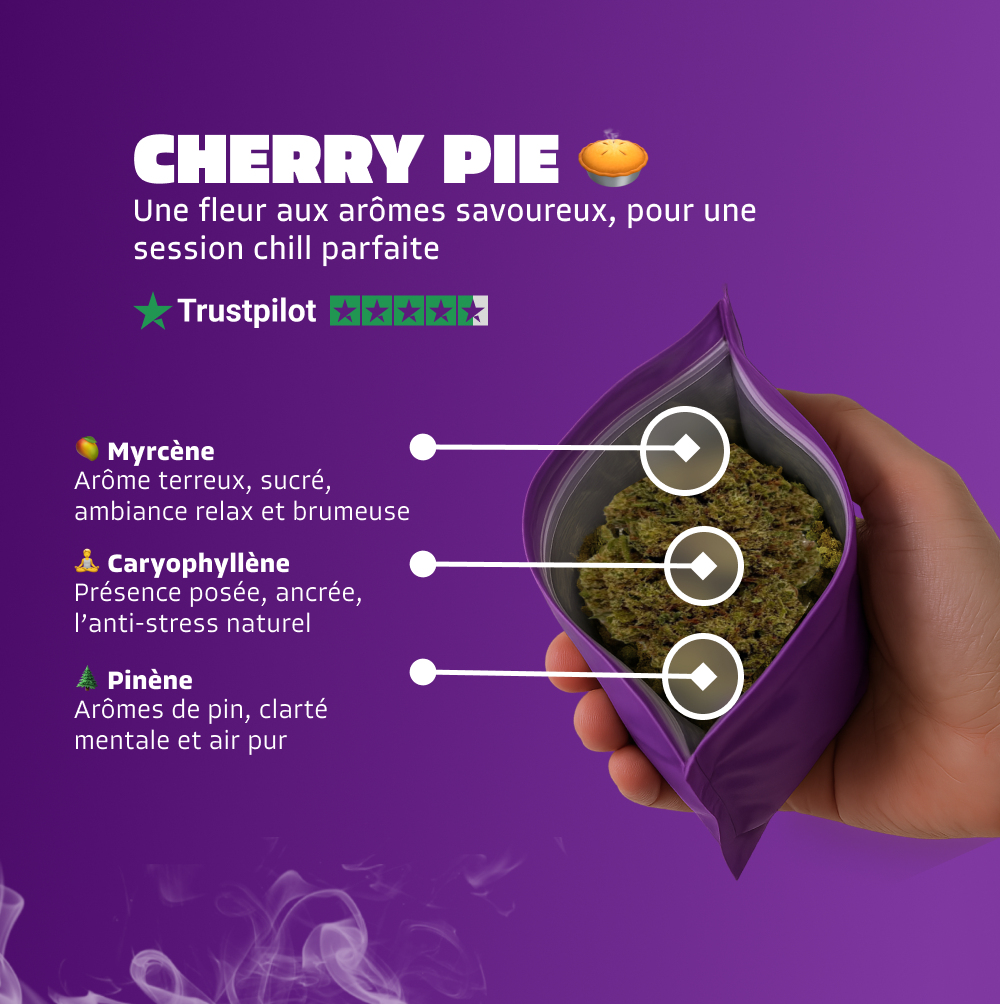 🥧 Cherry Pie
