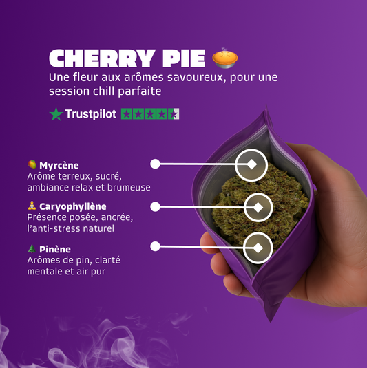 🥧 Cherry Pie
