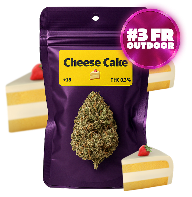 🍰 Cheese Cake