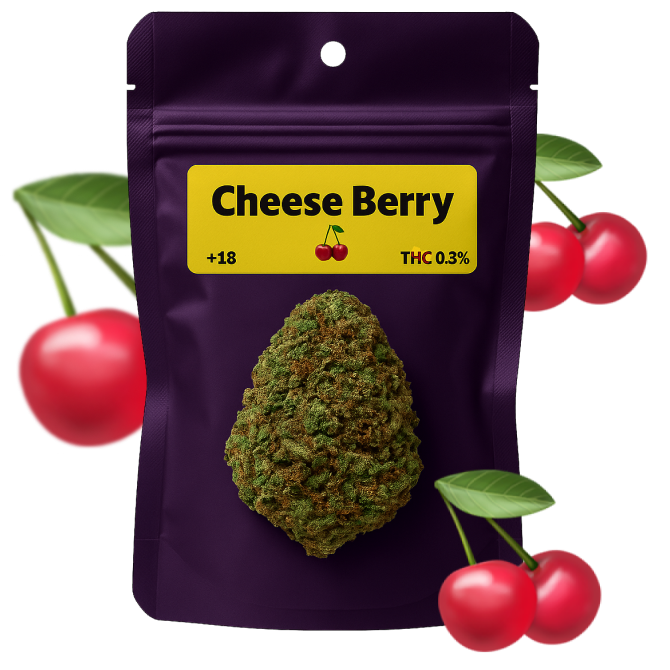 🍒 Cheese Berry