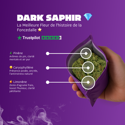 Dark Saphir