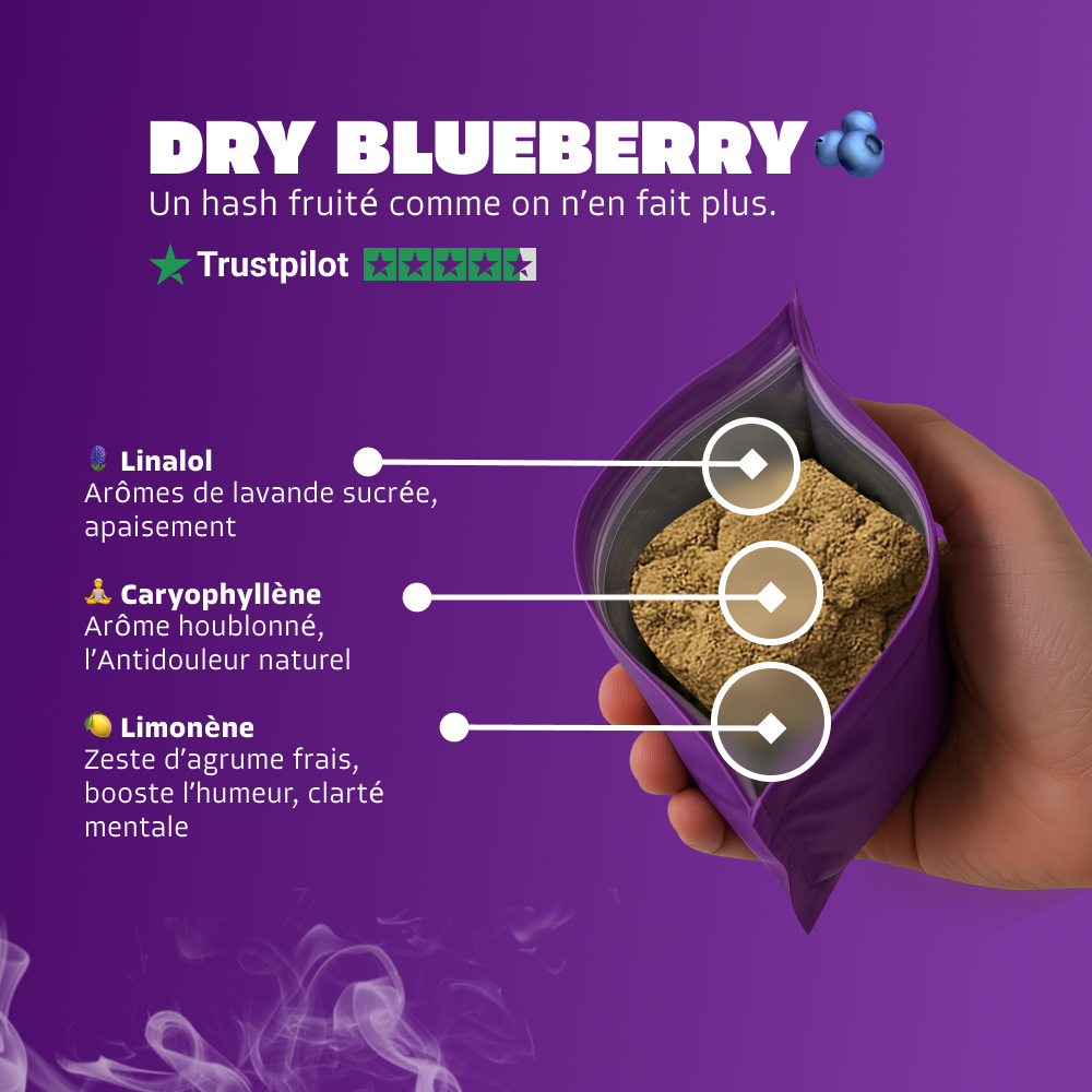 🫐 Dry Sift Blueberry