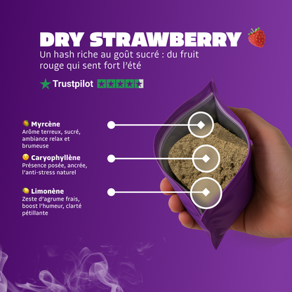 🍓 Dry Strawberry