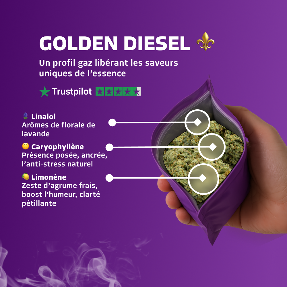 Golden Diesel