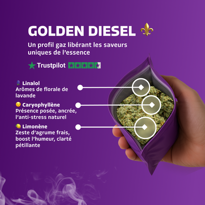 Golden Diesel