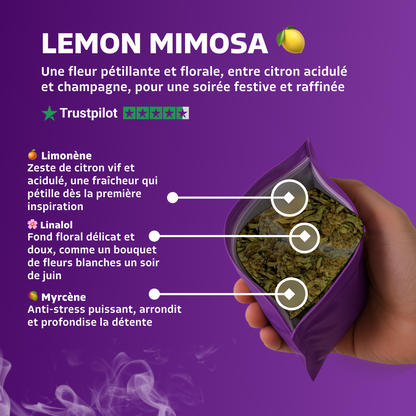 Lemon Mimosa