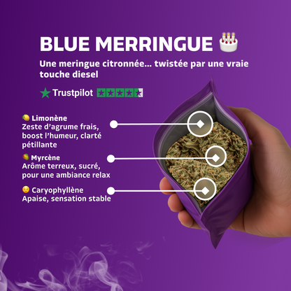 Blue Merringue