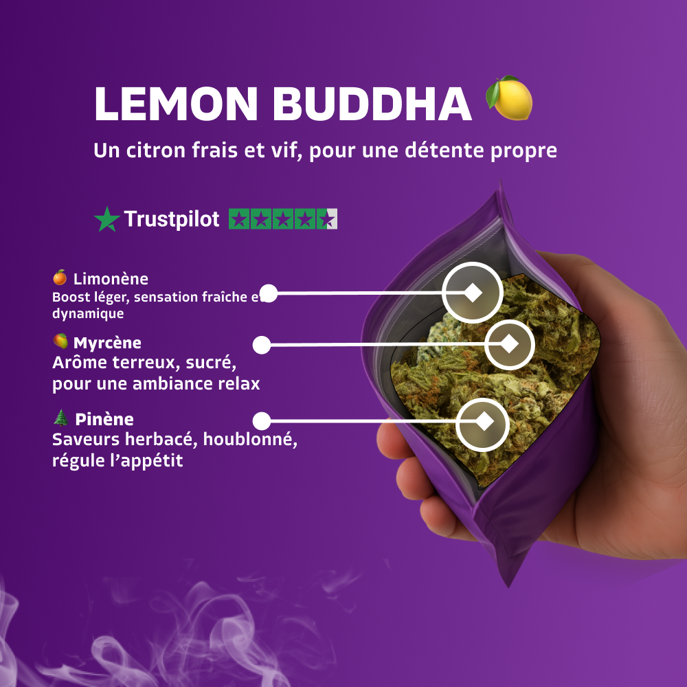 Lemon Buddha