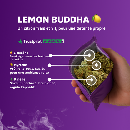 Lemon Buddha