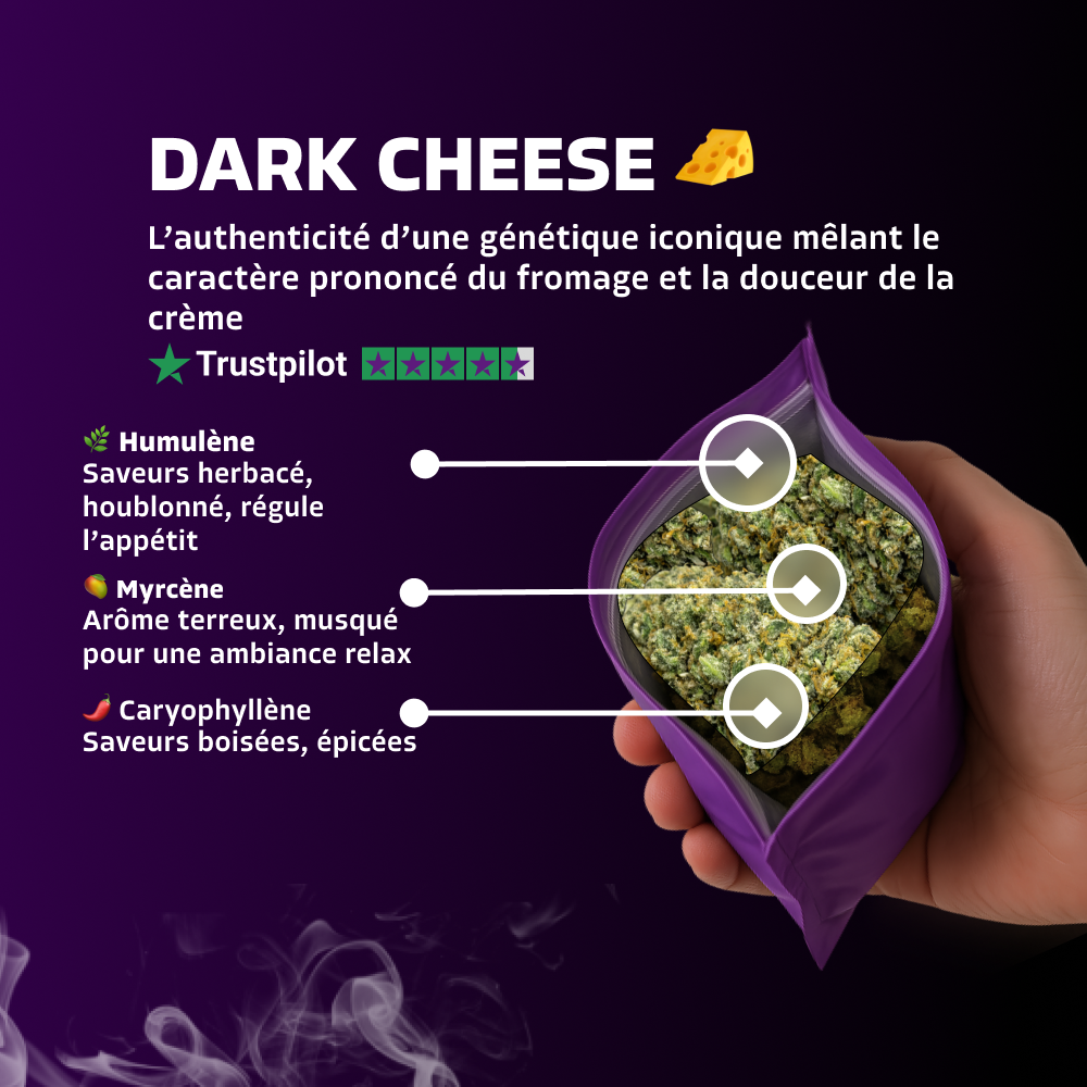 Dark Cheese