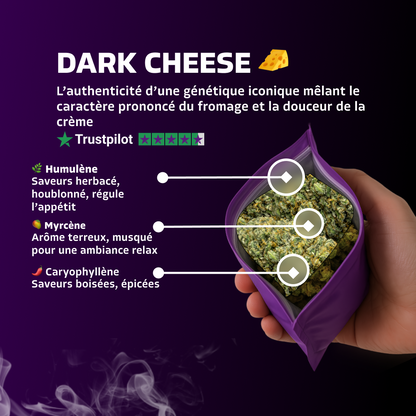 Dark Cheese