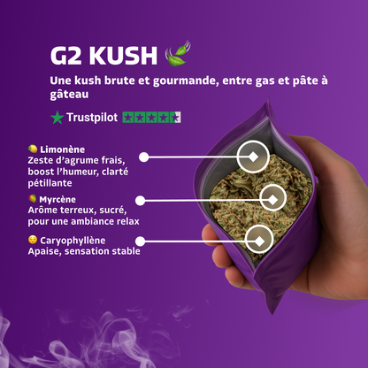 G2 Kush