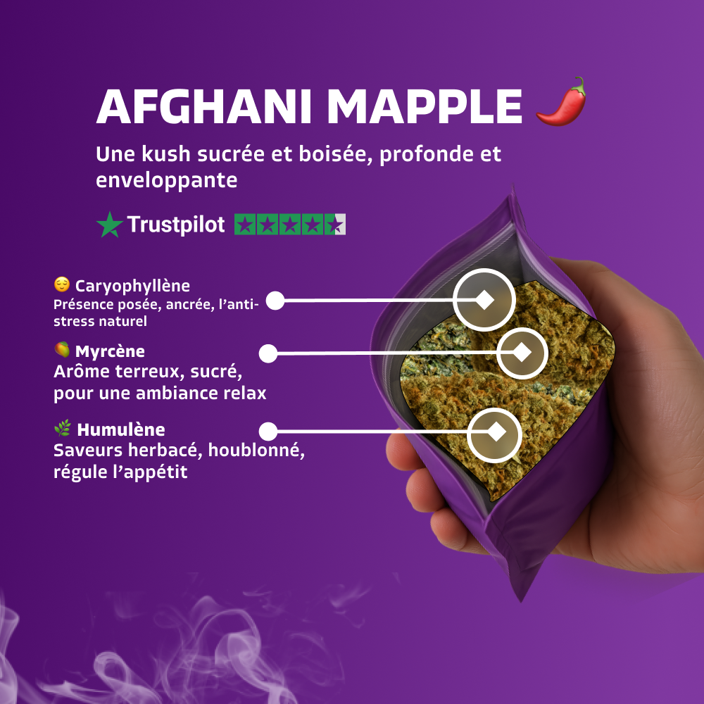 Afghani Mapple