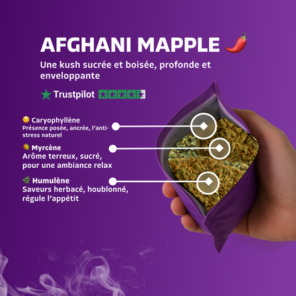 Afghani Mapple