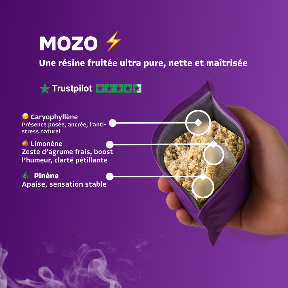 Mozo