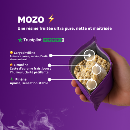 Mozo
