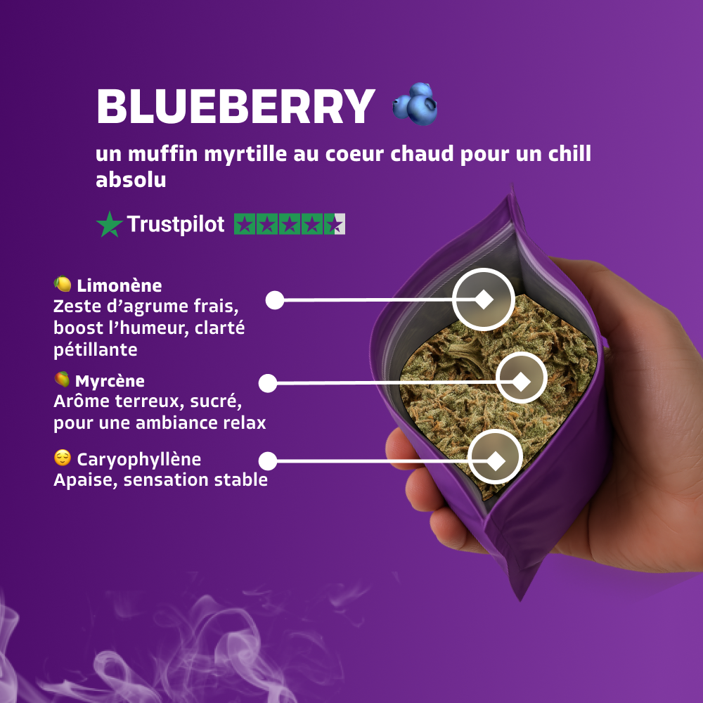 Blueberry
