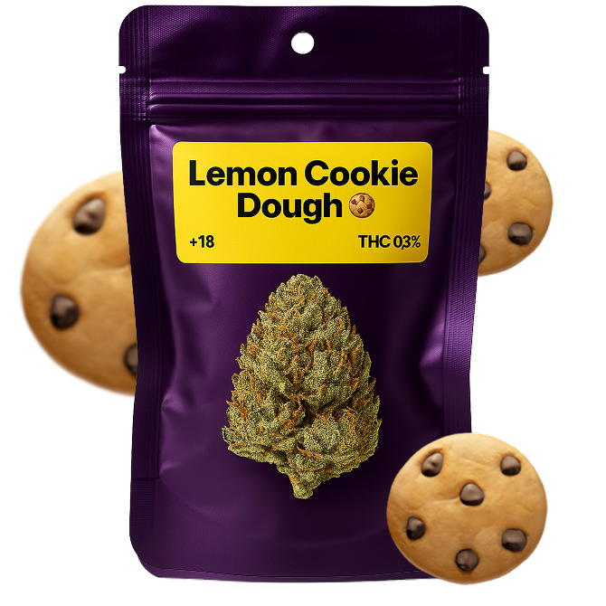 🍪 Lemon cookie Dough
