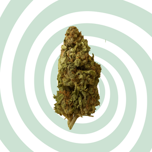 Lemon Buddha